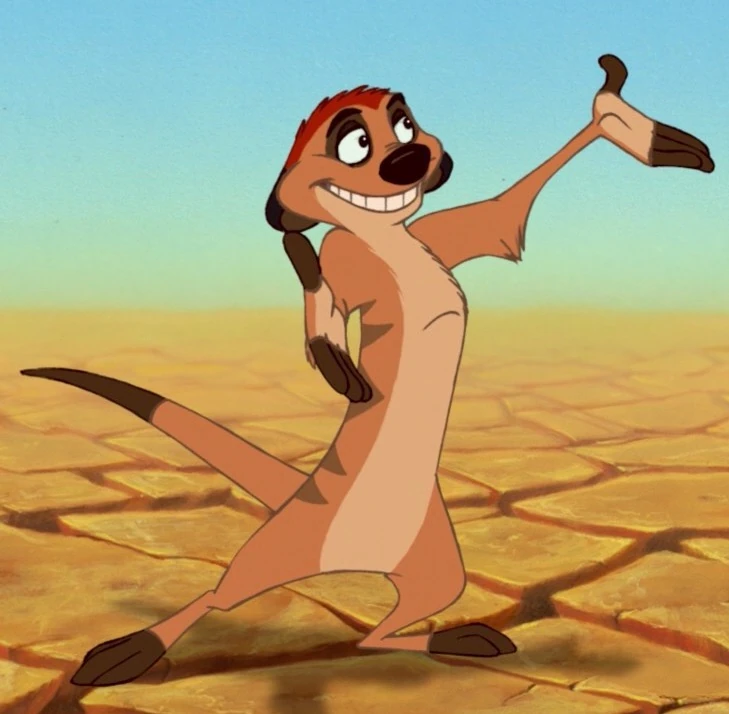 lion king characters timon