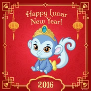 Chinese Zodiac Whisker Haven Nyle