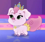 Truffles | Palace Pets Wiki | Fandom