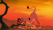 Lion-king2-disneyscreencaps.com-2311