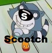 Scootch Raccoon