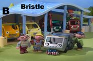 Bristle