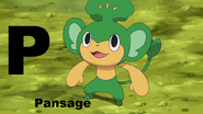 Pansage