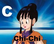 Chi-Chi (from Dragon Ball)