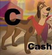 Cash