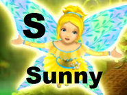 Sunny