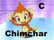 Chimchar