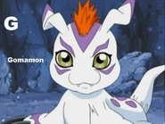 Gomamon