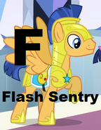 Flash Sentry