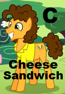 Cheese Sandwich