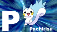 Pachirisu