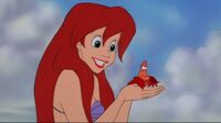 Sebastian with Ariel