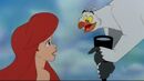 Scuttle with Ariel