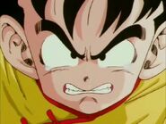 Gohan is angry at Raditz for harming his father