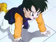 Videl is on the ground from Super Buu