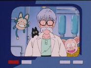 Dr. Brief on a monitor with Puar and Oolong