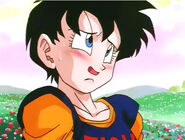 Videl is finally to admit that she's falling in love with Gohan