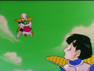 Dbz78-53