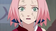 Sakura's reaction after Sasuke tells her that his curse mark heaven seal is none of her business.