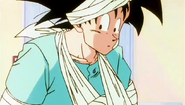 Goku tries to sneak out again, but panics when Chi-Chi calls out to him