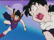 Chi-Chi fight Gohan