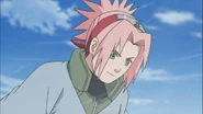 Sakura sees that Naruto was right about the white zetsu clone being disguise as Yota.