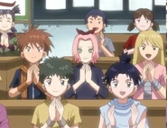 Sakura clapping after Ino's presentation on flowers.
