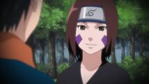 Naruto Shippuuden 159-347