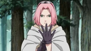 Sakura tells Sai to get out of her way.