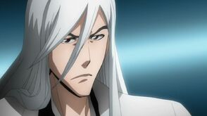 Jushiro Ukitake | Japanese Anime Wiki | Fandom