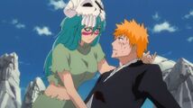 Bleach 192-148