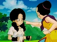 Chi-Chi doesn't want Videl to be with Gohan