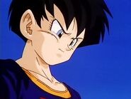 Videl crying over Gohan's "death"