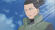 Shikamaru sees that Naruto was right about a white zetsu clone being disguise as Yota.