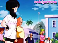 Videl arrived at the Satan City before she meet Gohan at the Orange Star High School