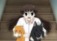 Tohru runs down stairs with her friends in their animal form.