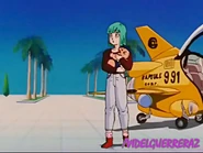 Bulma on Kami's Lookout