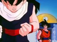 Gohan tries to help Piccolo back on Earth, but is ordered by Goku to stay on Kami's Lookout