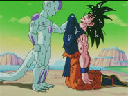 Dbz92-13