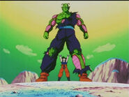 Dbz93-33