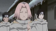 Sakura tells Naruto that he can stop keeping his promise to bring Sasuke back to Konoha.