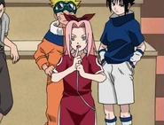 Sakura at the age of 12.