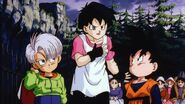 Videl tries to introduction herself to the villagers