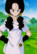 Videl's first appearance in the late of Dragon Ball Z