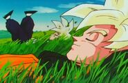 Gohan relaxing with his father.