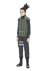 Shikamaru - The Last