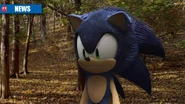 Sonic (2013)