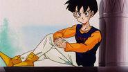 Videl refuse to believe Gohan is not dead and he's with Kitibo and Supreme Kai