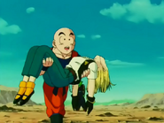 Kuririn about to bring 18 to Kami's Lookout