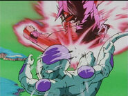 Dbz91-55